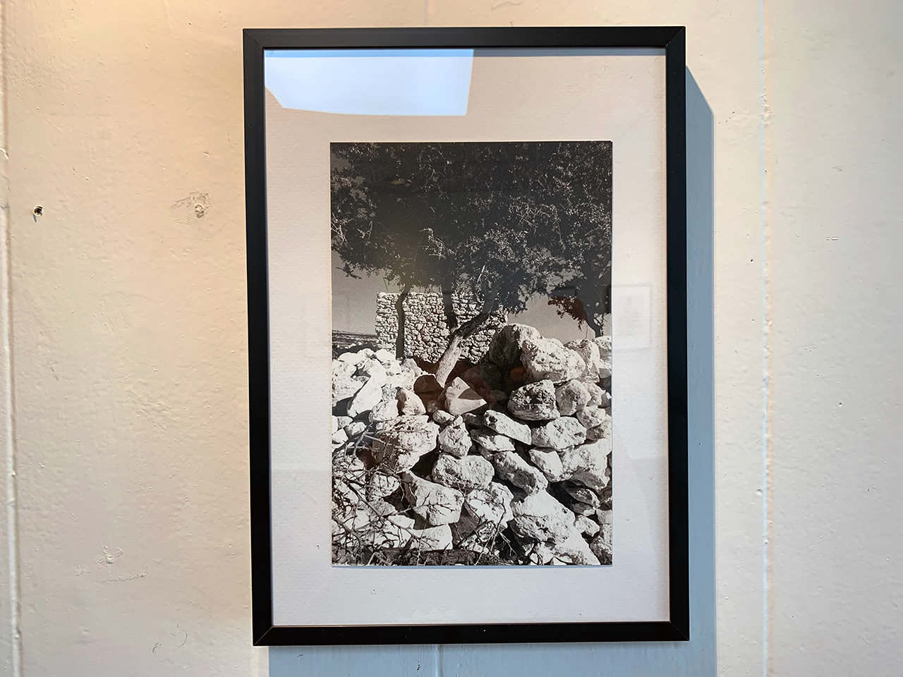 Gallery Picture #5