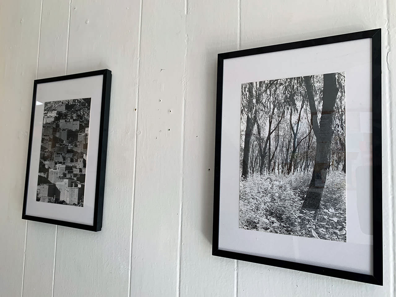 Gallery Picture #6