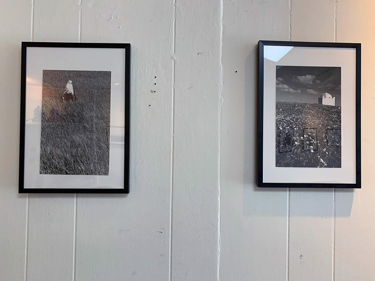 Gallery Picture #5