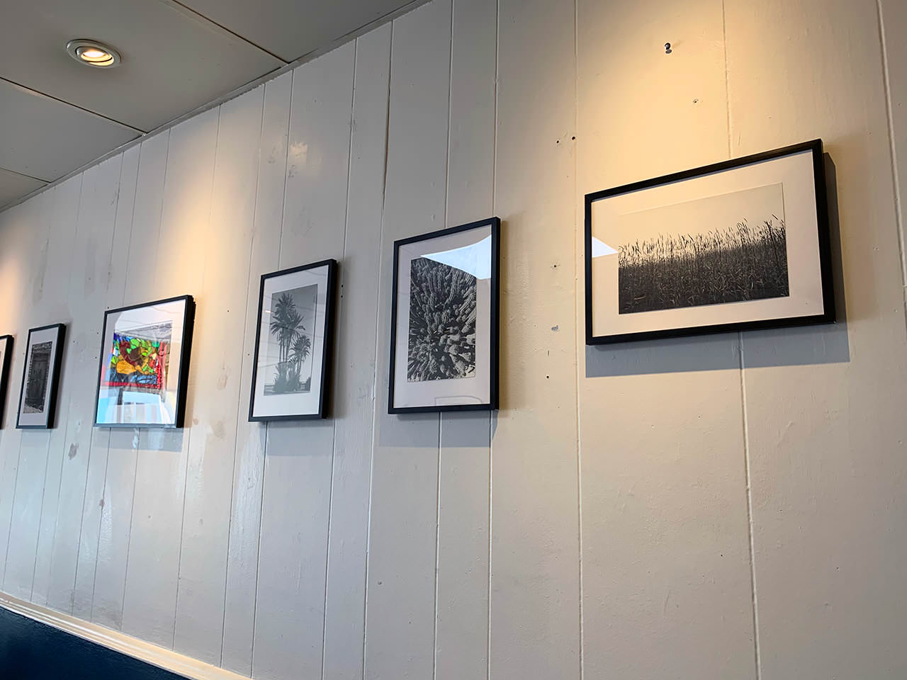 Gallery Picture #1
