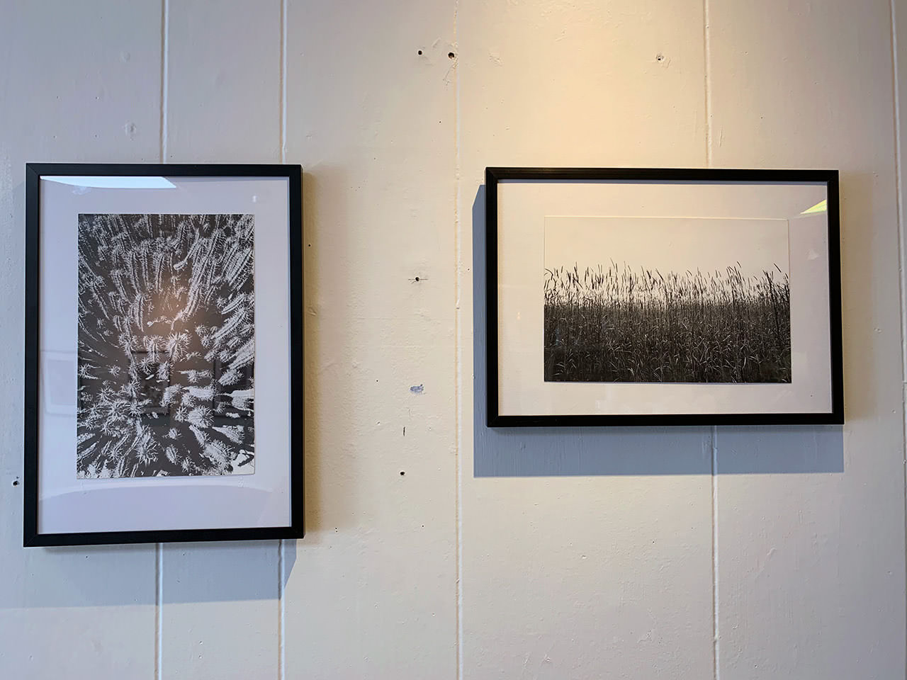 Gallery Picture #3