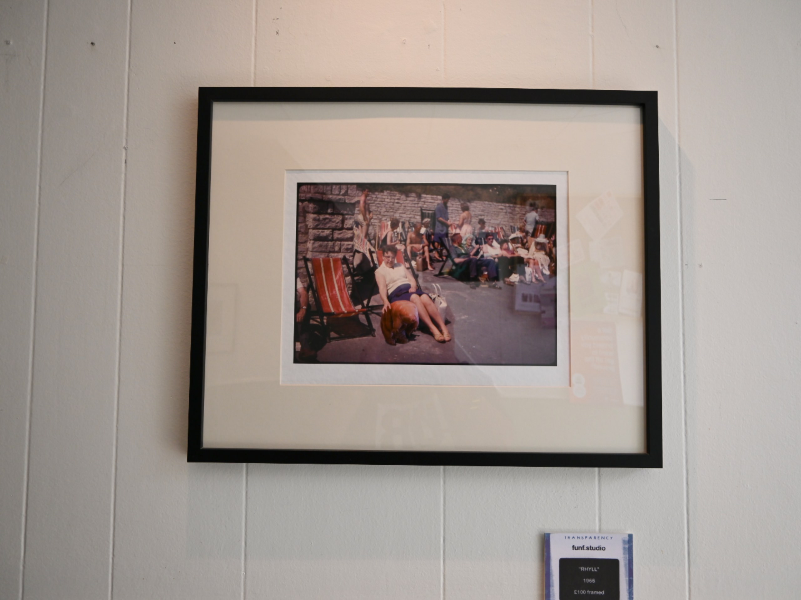 Gallery Picture #4