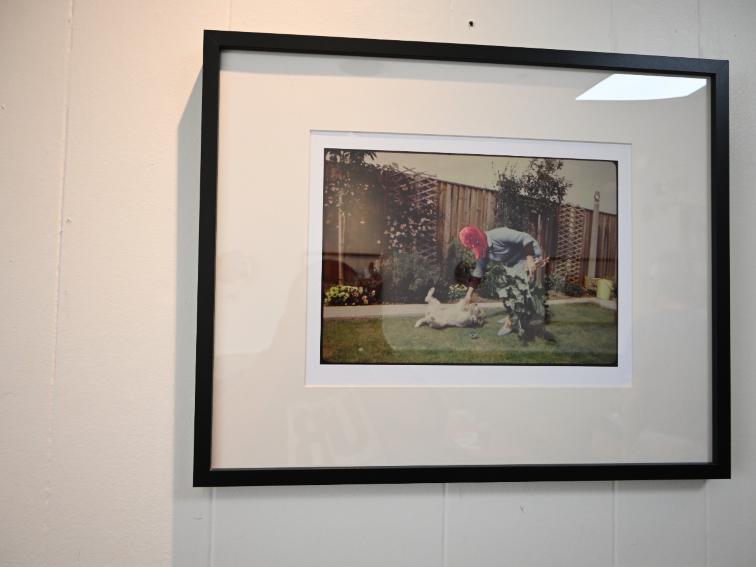 Gallery Picture #8