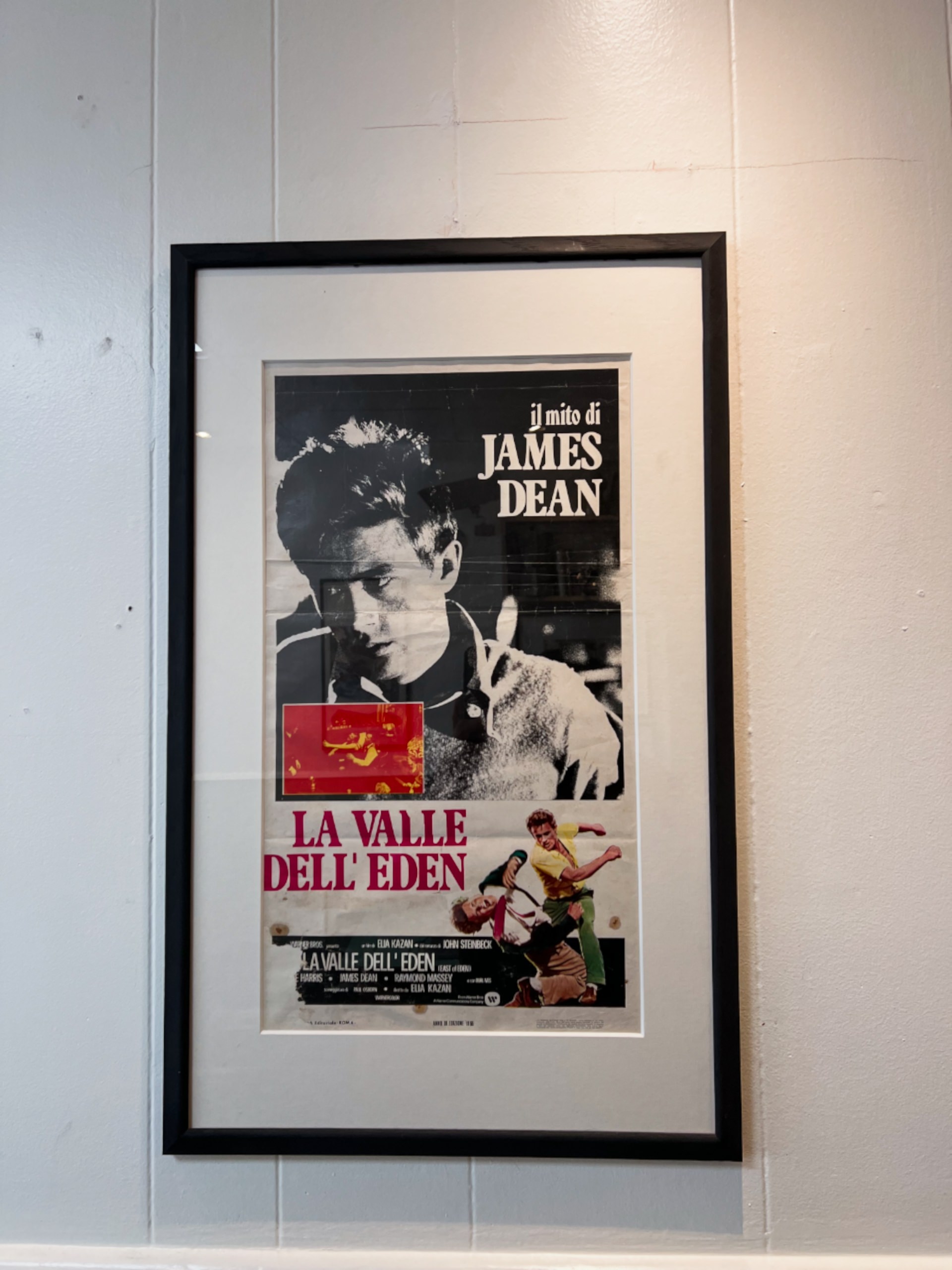 Gallery Picture #3