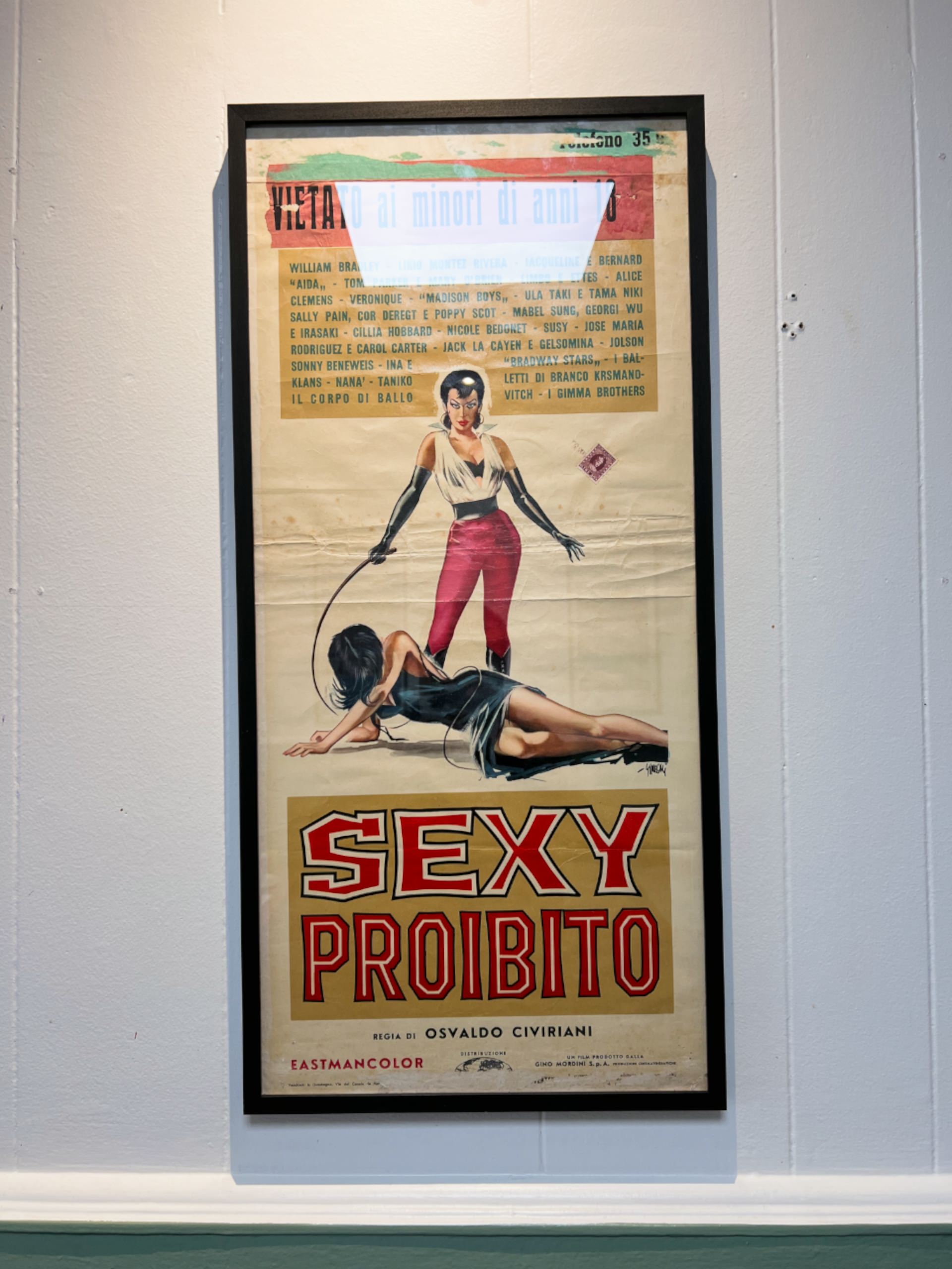 Gallery Picture #5