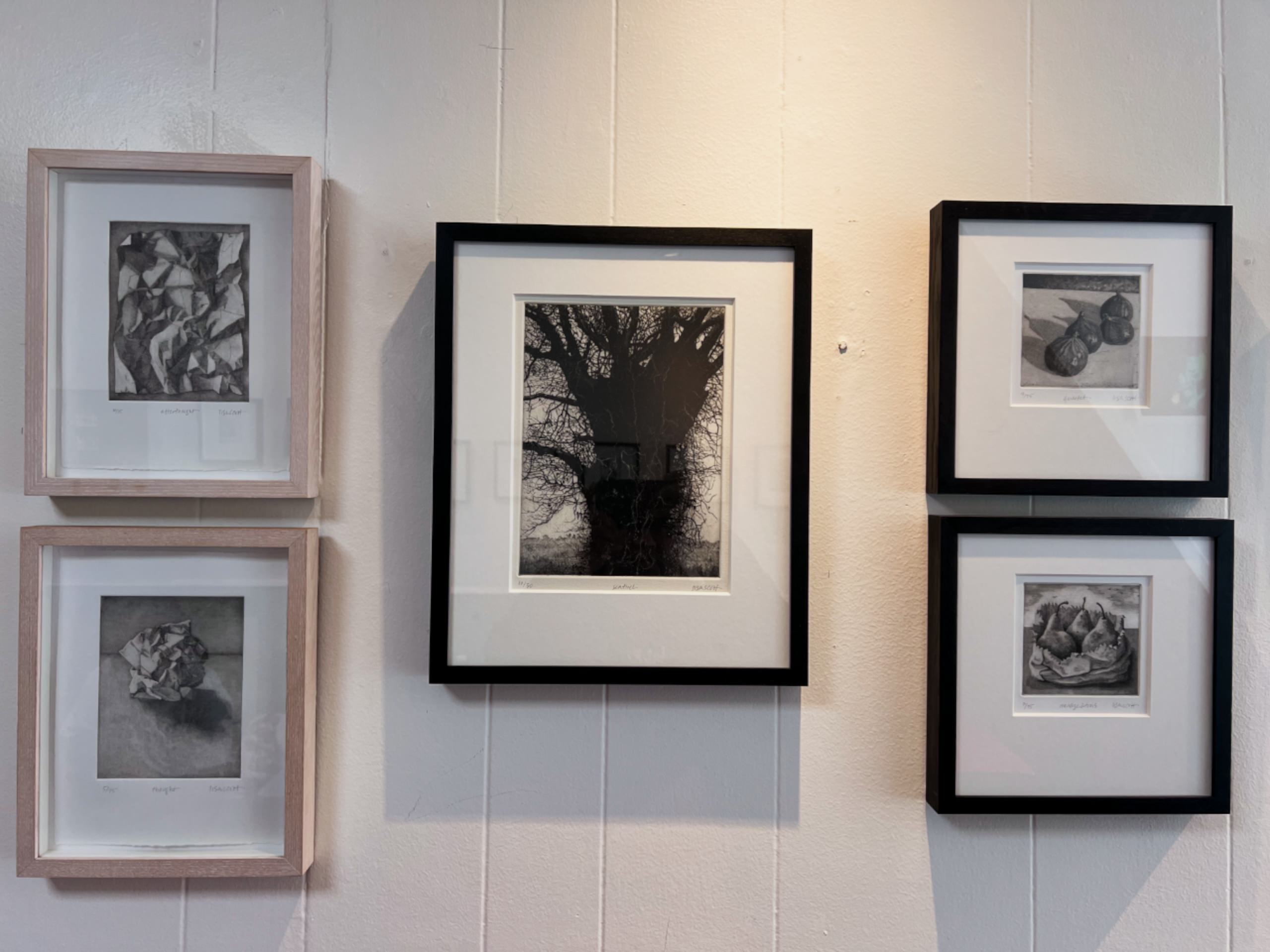 Gallery Picture #8