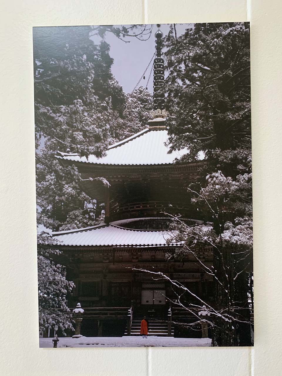 Gallery Picture #9
