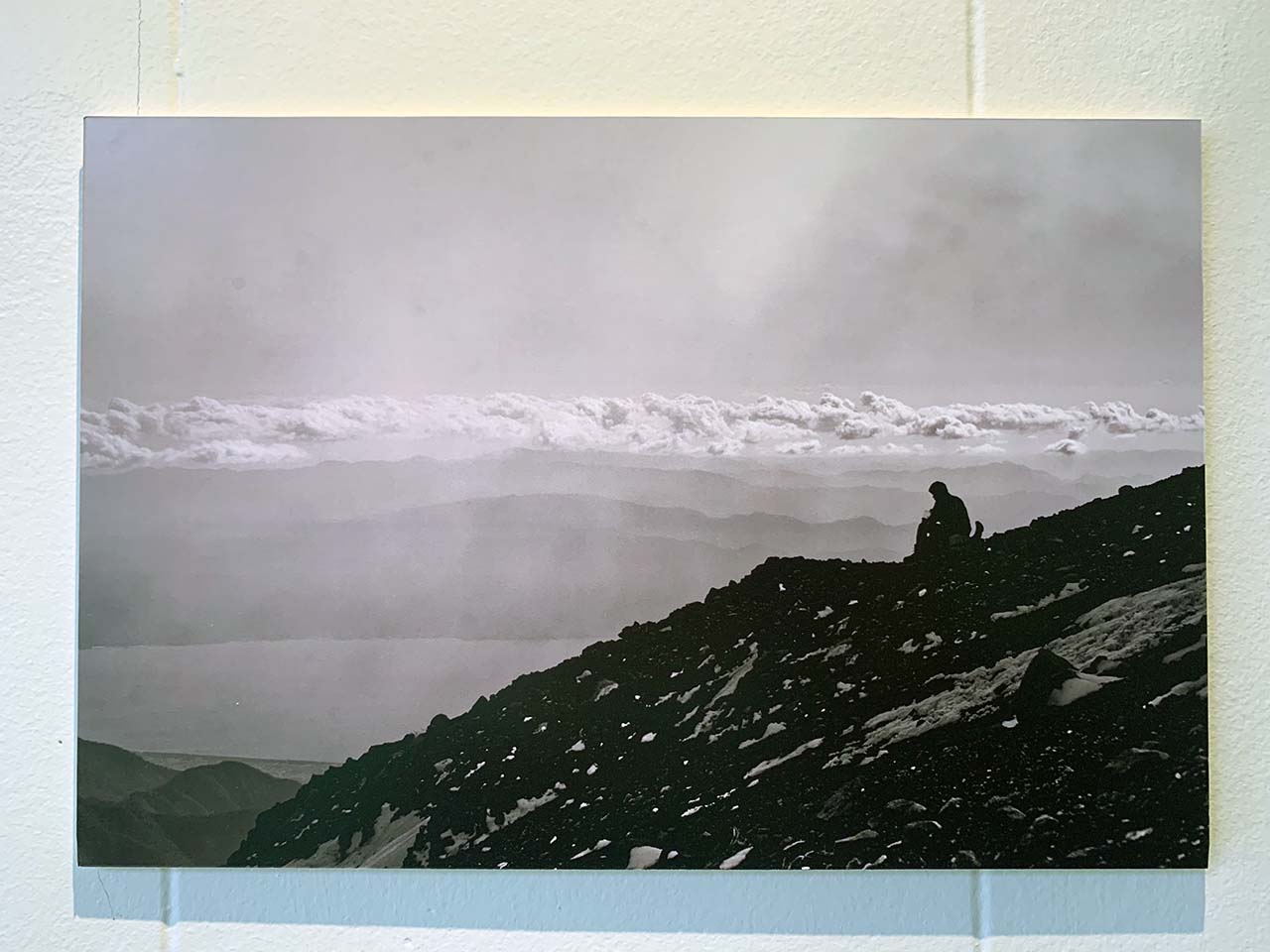 Gallery Picture #6